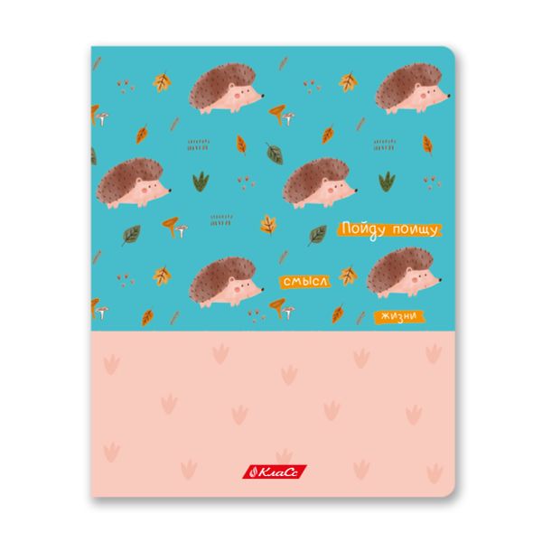 Тетрадь ученическая общая, A5+ 48 л. на скобе, белизна 100%, 10 шт, клетка, 000317 Почилим!, Светоч 48ТСК5_3_1