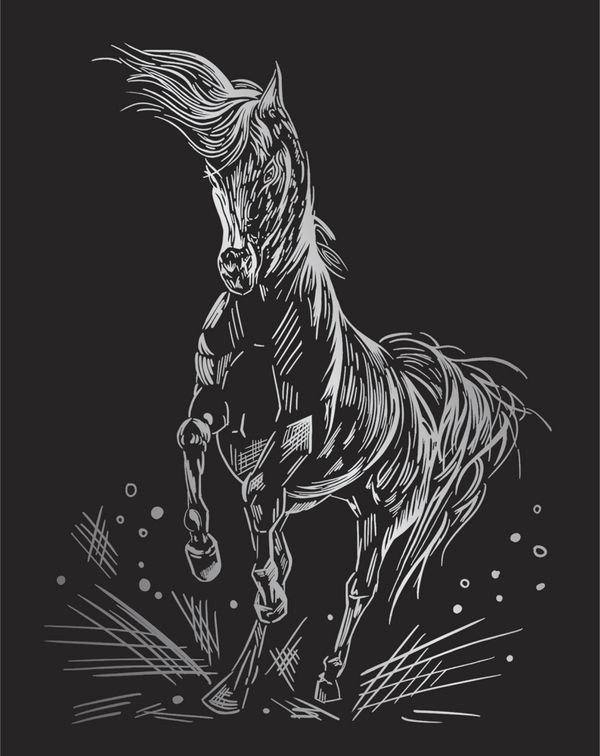 Набор для творчества Гравюра 20х25.5 см, №59 Лошадь (серебро), Hobbius SGHK