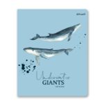 Тетрадь ученическая общая, софт тач, A5+ 96 л. на скобе, белизна 100%, 5 шт, клетка, 000352 Подводная одиссея, Светоч 96ТСК5_12_3_1