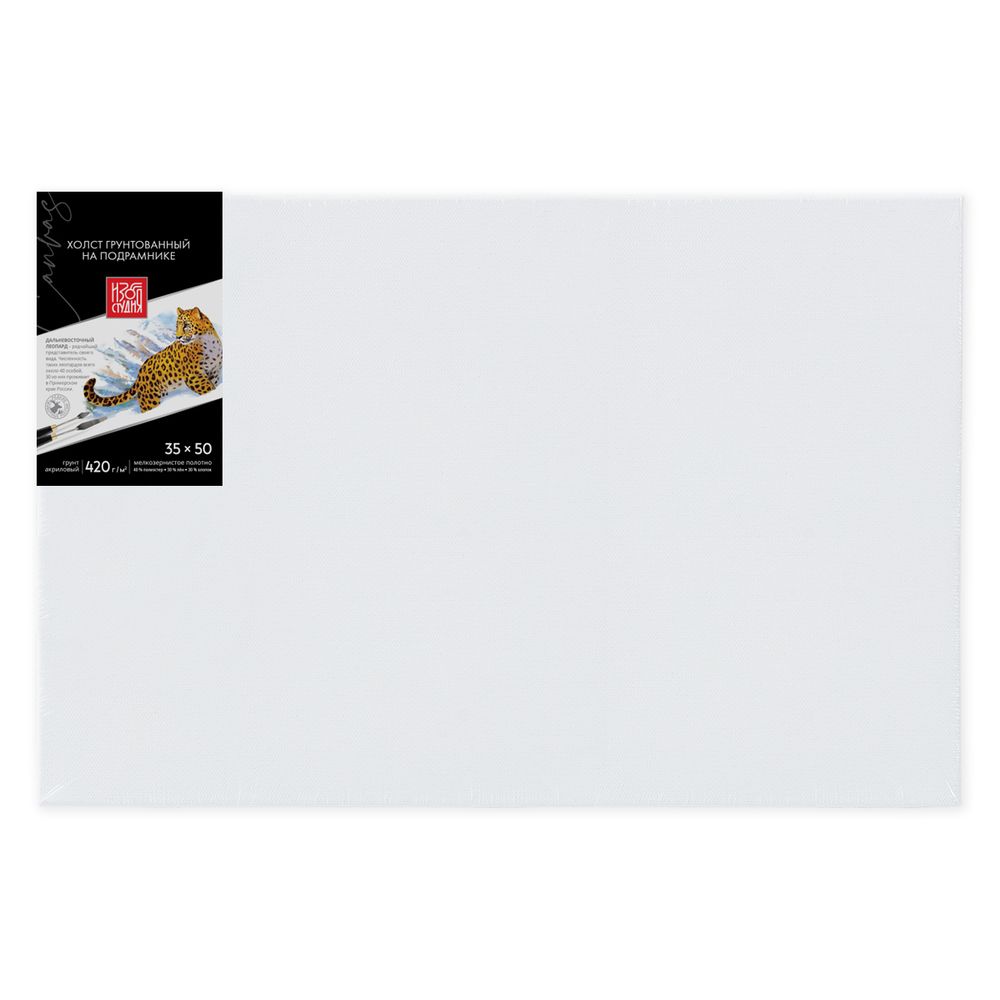 Холст грунтованный на подрамнике 35х50 см, 420 г/м², 40% полиэстер, 30% лён, 30% хлопок, 2 шт, мелкозернистый, Аква-колор, IZO-MCFG-3550
