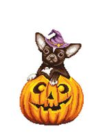 Алмазная (кристальная) мозаика Фрея, постер Чихуахуа в тыкве, 30х40 см