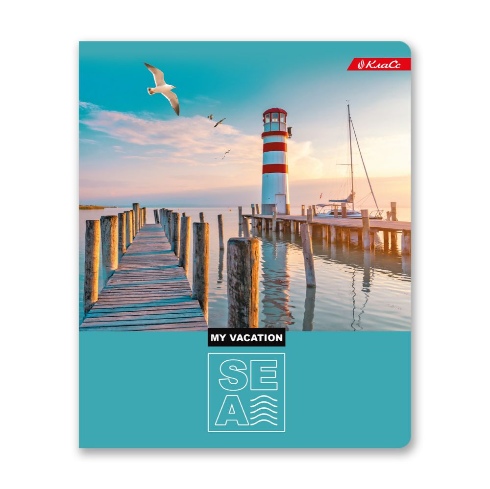 Тетрадь ученическая общая, глянцевая ламинация, A5+ 96 л. на скобе, белизна 100%, 5 шт, клетка, 000348 Вокруг света, Светоч 96ТСК5_3_3_1