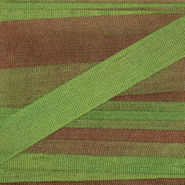 Лента (тесьма) шелковая 7.0 мм / 9.1±0.5 метров, M133 св.зеленый/коричневый, Gamma SRM-7