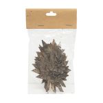 Декоративные элементы из коры дерева "Кленовый лист", 11х7см, 6 шт, нат/дерево