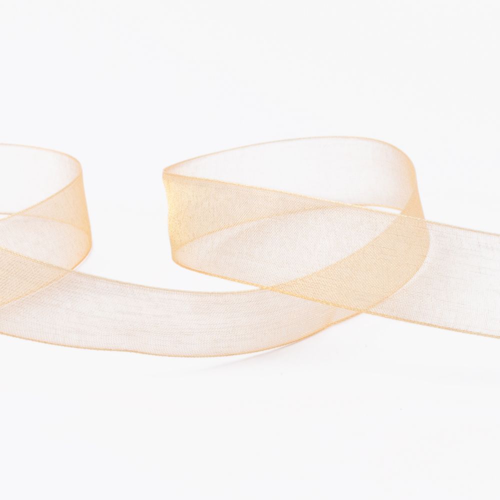 Лента капроновая (органза) 20.0 мм / 22.8±1 метра, 009 рыжий, Blitz OR-20