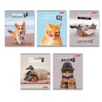 Тетрадь ученическая общая, A5+ 48 л. на скобе 65 г/м², белизна 100%, 10 шт, клетка в термоусадочной пленке, 000752 Смешные и шерстяные, Светоч 48ТЕТк-001