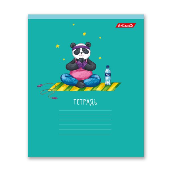 Тетрадь ученическая школьная A5+ 18 л. на скобе, 20 шт, клетка, 000367 Спортландия, Светоч 18ТСКд5_1_3_1