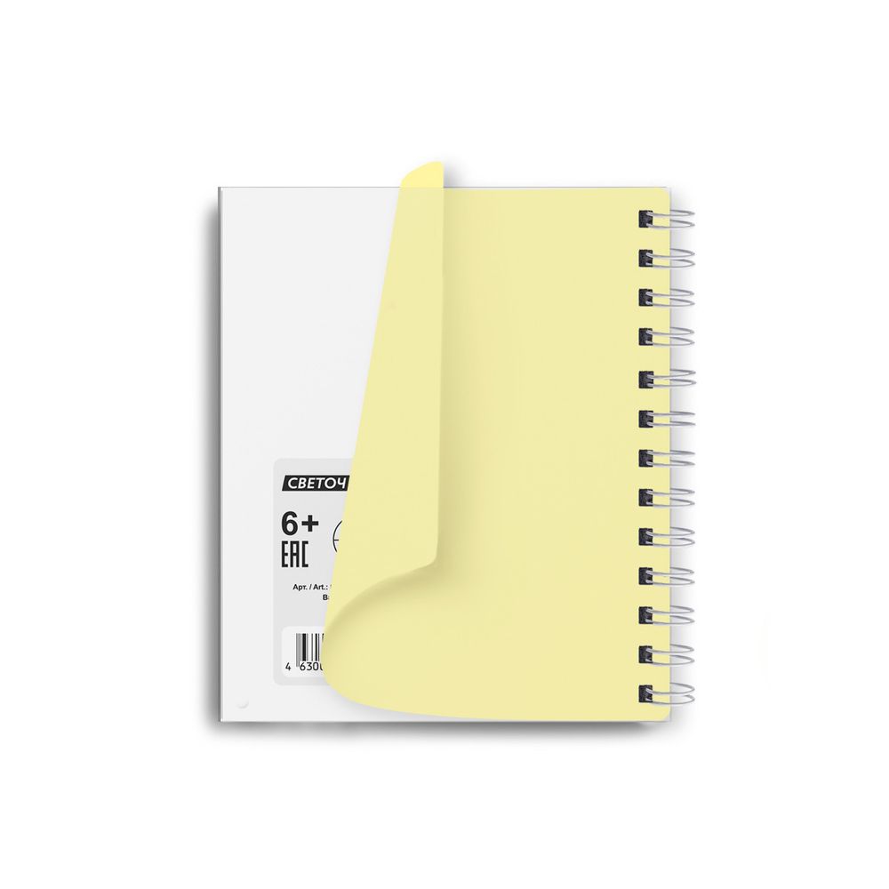 Записная книжка с пластиковой обложкой, тиснение серебряной фольгой, 500 мкр, на гребне, A6 80 л., 4 шт, клетка, Ваниль 01048, Светоч 80ЗК33