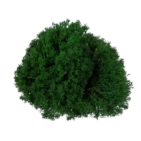 Мох королевский ягель стабилизированный окрашенный 45±5 г, №02 т. зеленый, Blumentag