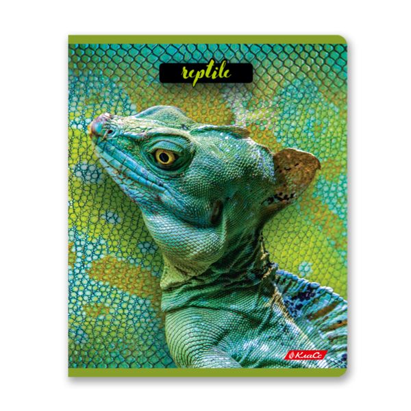 Тетрадь ученическая общая, твин лак, A5+ 80 л. на скобе 65 г/м², белизна 100%, 5 шт, клетка в термоусадочной пленке, 000487 Рептилии, Светоч 80ТСК5_8_2_1