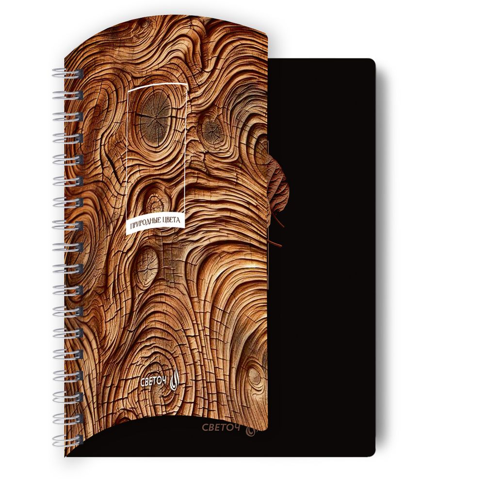 Тетрадь ученическая общая с двойной обложкой, A5 96 л. на гребне 65 г/м², белизна 100 %, 4 шт, клетка, 01209 Грани прекрасного, Светоч Т118