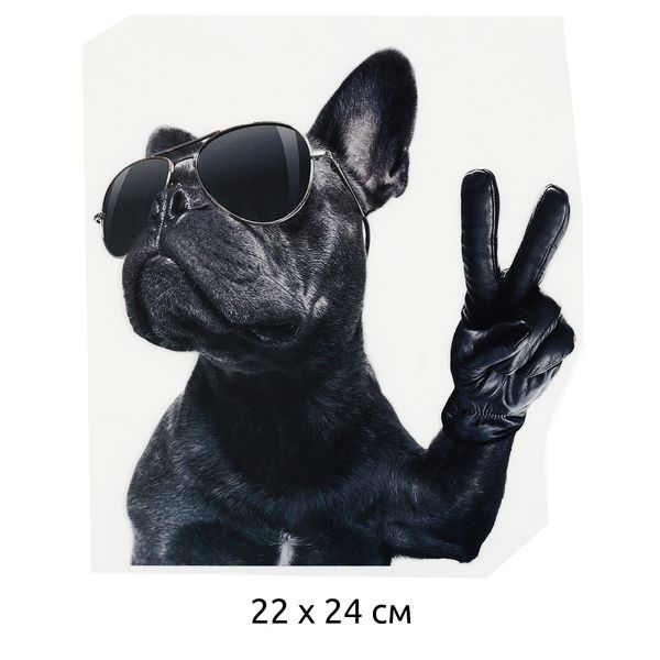 Термотрансфер TY.1304 Мопс в очках 22х24см, уп.10 шт