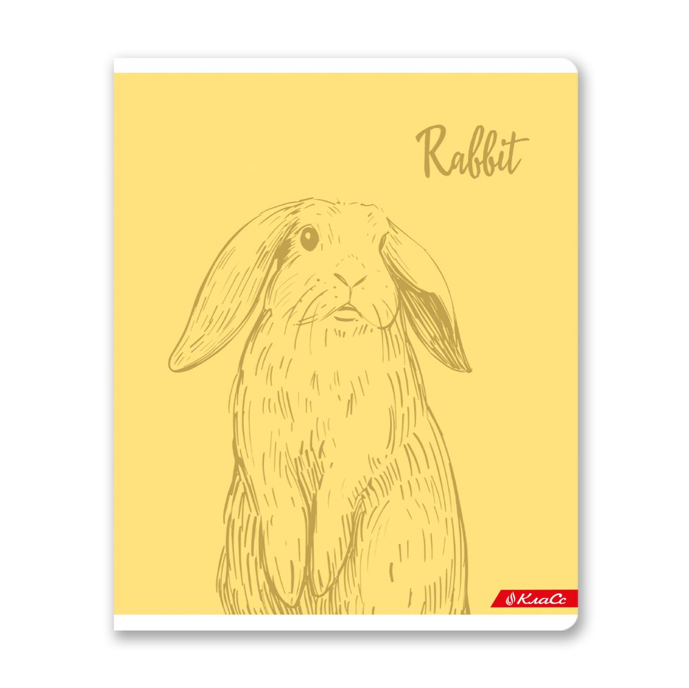 Тетрадь ученическая общая, матовая ламинация + выборочный УФ лак, A5+ 48 л. на скобе, белизна 100%, 10 шт, клетка, 000315 Зайчишка, Светоч 48ТСК5_24_3_1