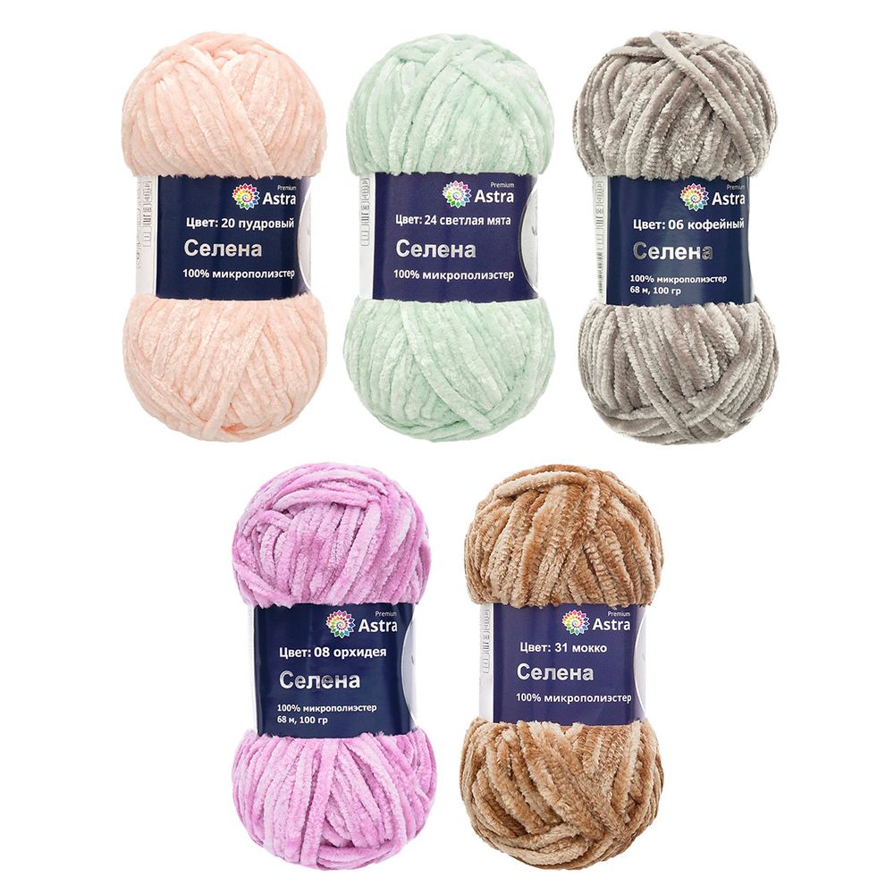 Пряжа Astra Premium (Астра Премиум) Селена / уп.5 мот. по 100 г, 68 м, ассорти №2 (5 цветов)