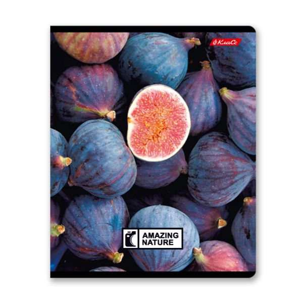 Тетрадь ученическая общая, твин лак, A5+ 60 л. на скобе 65 г/м², белизна 100%, 10 шт, клетка в термоусадочной пленке, 000477 Биосфера, Светоч 60ТСК5_8_2_1