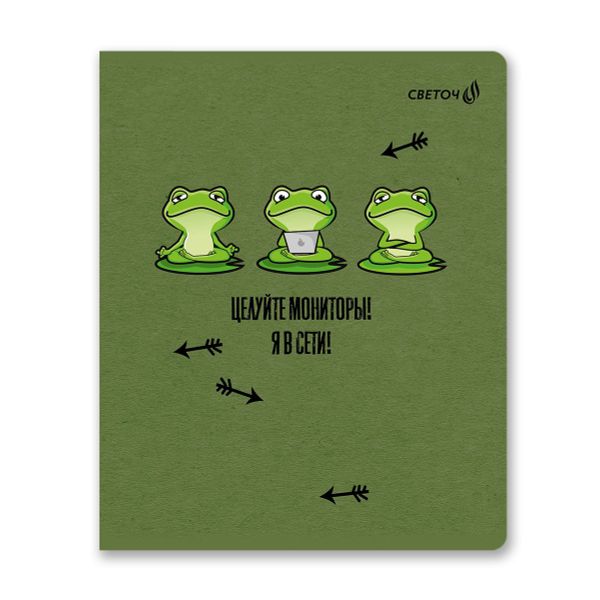 Тетрадь ученическая общая, твин лак, A5+ 48 л. на скобе 65 г/м², белизна 100 %, 10 шт, клетка, 00999 КВАзавры, Светоч 48Т12