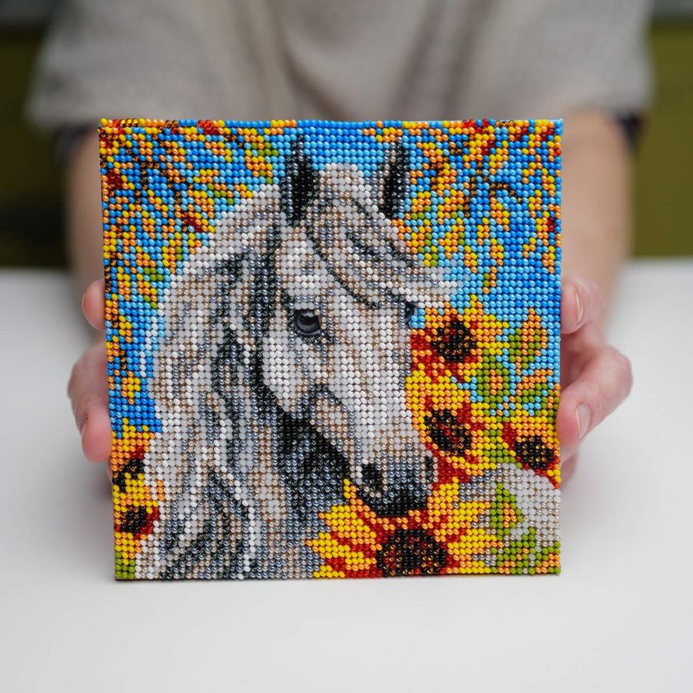 Набор для вышивания бисером Кроше (Радуга бисера) Т27_5205, Бьянка 14х14 см