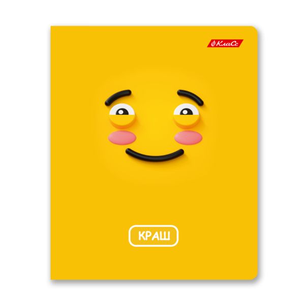 Тетрадь ученическая общая, A5+ 48 л. на скобе 65 г/м², белизна 100%, 10 шт, линия в термоусадочной пленке, 000756 Жиза, Светоч 48ТЕТл-001