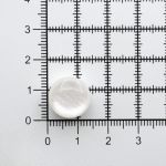 Пуговицы на ножке 22L (14мм), пластик (Wht-01 белый), 72 шт, CR P-45
