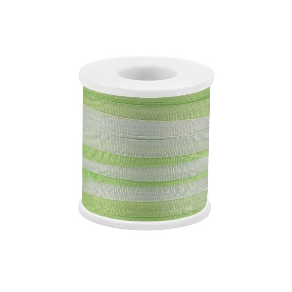 Лента (тесьма) шелковая 4.0 мм / 45.5±0.5 метров, M032 бл. салатовый/салатовый, Gamma SRM-4