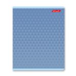 Тетрадь ученическая общая, выборочный лак, A5+ 96 л. на скобе 60 г/м², белизна 100%, 5 шт, клетка в термоусадочной пленке, 000783 В цвете, Светоч 96ТЕТк-003