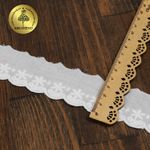 Кружево шитьё хлопок Kruzhevo 35 мм, TBY.0377, 01 белый, 13.71м