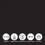 Холст грунтованный на подрамнике 40х40 см, 240 г/м², 2 шт, PERESLAVL BLACK EDITION мелкозернистый, Vista-Artista ACBF-4040