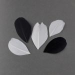 Перья декоративные 5-6 см, 5х3 г,±0.5 г, 03 белый/ черный, Mr.Painter PLU-06