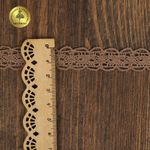 Кружево вязаное (тесьма) 15 мм / 10 метров, D1010, тонкая нить, цв.F293 св.коричневый, Kruzhevo