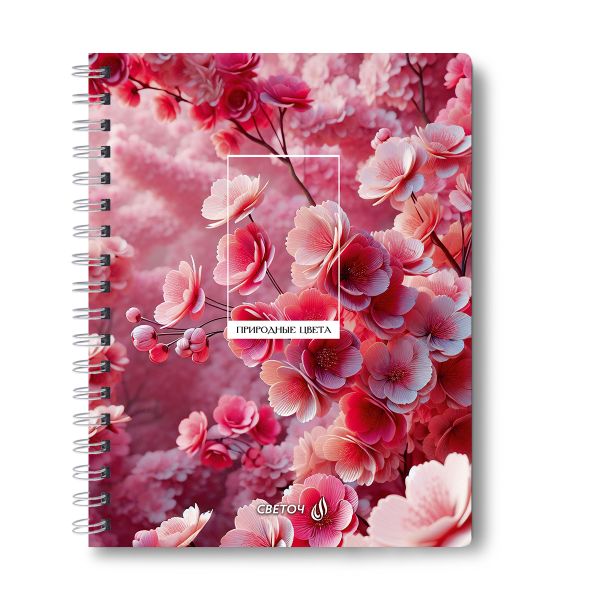 Тетрадь ученическая общая с двойной обложкой, A5 96 л. на гребне 65 г/м², белизна 100 %, 4 шт, клетка, 01209 Грани прекрасного, Светоч Т118