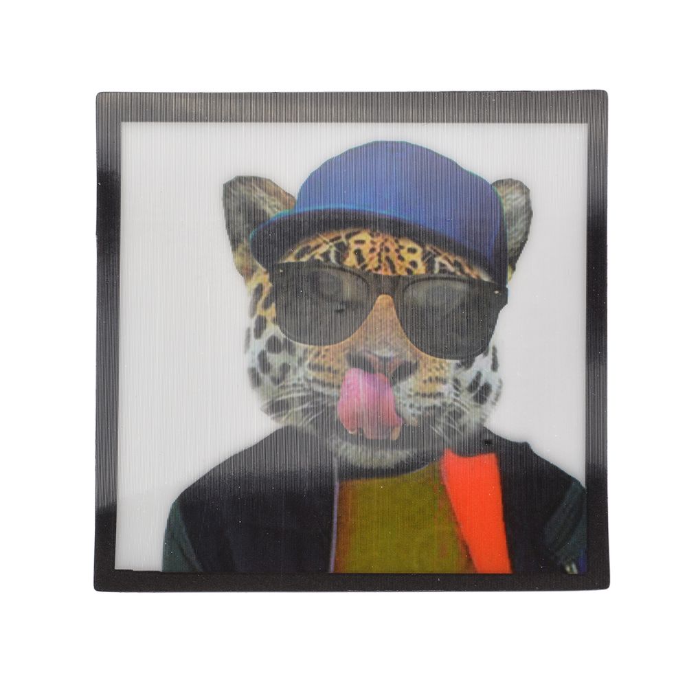 Термоаппликация 3D (интерактивные) 3D19 Леопард в очках 10х10см, 5 шт