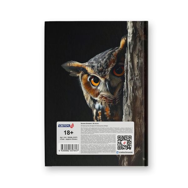 Бизнес-блокнот, мат.ламин.+выбор.лак, блок кремовый, ББ246 евроформат (14.4х20.3х1.6 см) 64 л. 4 шт французская клетка, Сова - мудрая голова 01673, Светоч