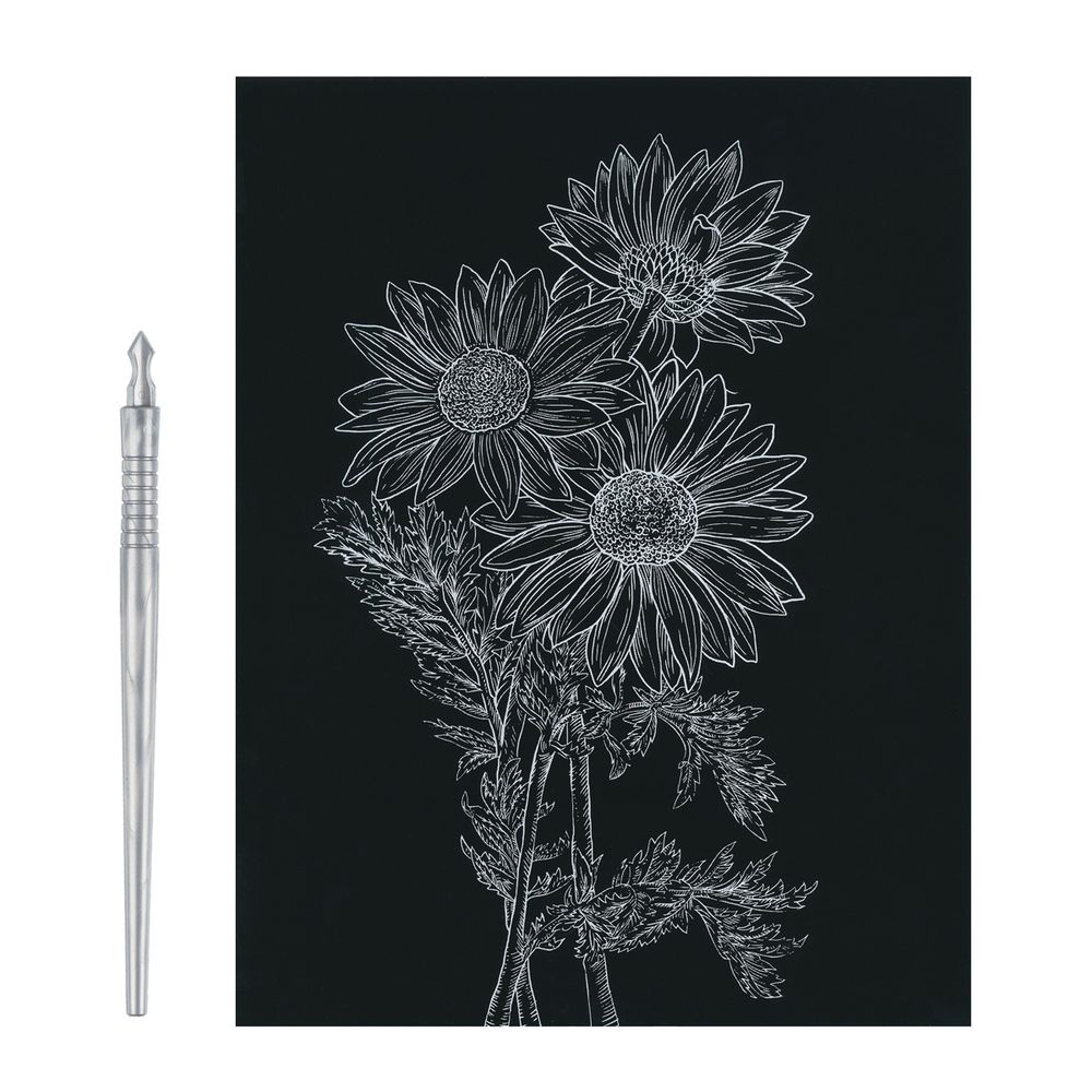 Набор для творчества Гравюра №61 Астры, 20х25.5 см, Hobbius SGHK