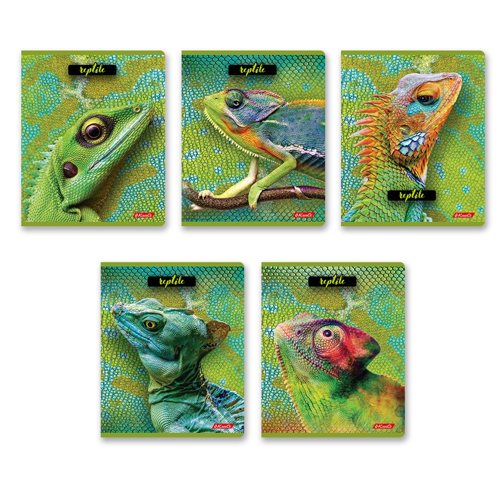 Тетрадь ученическая общая, твин лак, A5+ 80 л. на скобе 65 г/м², белизна 100%, 5 шт, клетка в термоусадочной пленке, 000487 Рептилии, Светоч 80ТСК5_8_2_1