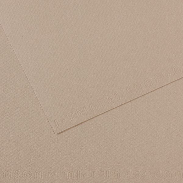 Бумага для пастели Mi-Teintes 160 г/м², 75х110 см, 10 л, №122 Серая фланель, Canson, C31032S160