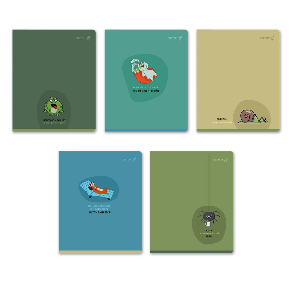 Тетрадь ученическая общая, твин лак, A5 96 л. на скобе 65 г/м², белизна 100% 5 шт линия, 01537 Вопросов нет, Светоч Т208