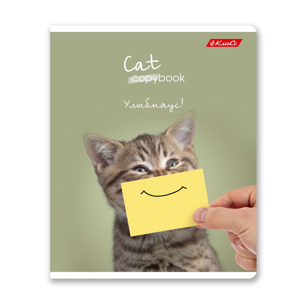 Тетрадь ученическая общая, A5+ 96 л. на скобе 60 г/м², белизна 100%, 5 шт, клетка в термоусадочной пленке, 000790 Улыбмяус, Светоч 96ТЕТк-001