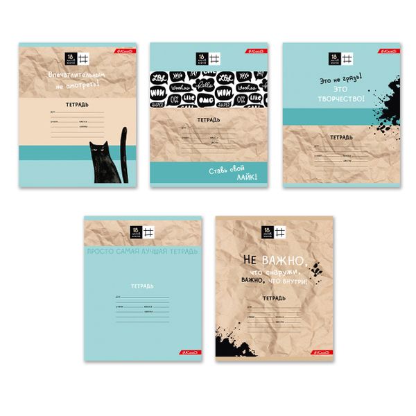 Тетрадь ученическая школьная A5+ 18 л. на скобе 65 г/м², белизна 100%, 20 шт, клетка, 000365 Всё получится, Светоч 18ТСКд5_1_3_1