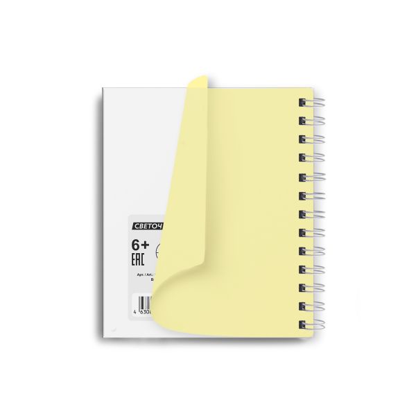 Записная книжка с пластиковой обложкой, тиснение серебряной фольгой, 500 мкр, на гребне, A6 80 л., 4 шт, клетка, Ваниль 01048, Светоч 80ЗК33