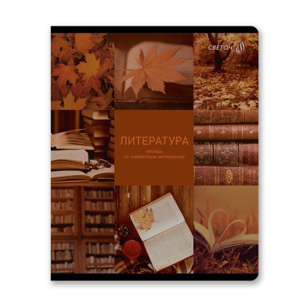 Тетрадь со справочным материалом Огромный мир внутри, A5 48 л. на скобе 60 г/м², белизна 90% 10 шт линия, 01809 Огромный мир внутри Литература, Светоч Т279