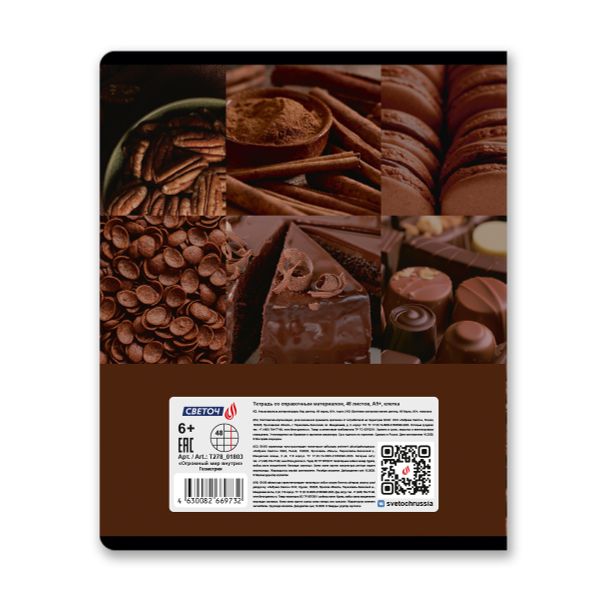 Тетрадь со справочным материалом Огромный мир внутри, A5 48 л. на скобе 60 г/м², белизна 90% 10 шт клетка, 01803 Огромный мир внутри Геометрия, Светоч Т278