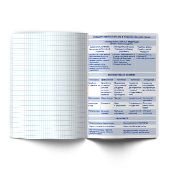 Тетрадь со справочным материалом Капсула знаний, A5 48 л. на скобе 60 г/м², белизна 90% 10 шт клетка, 01796 Капсула знаний Обществознание, Светоч Т276