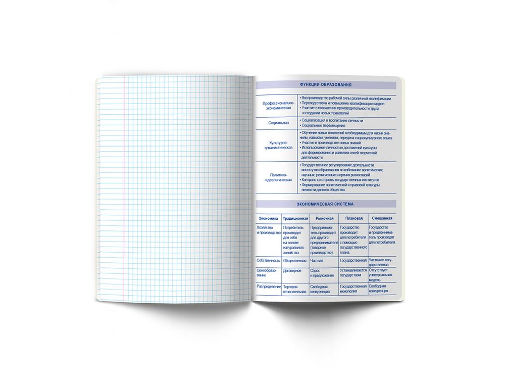 Тетрадь со справочным материалом Скучно не будет!, выборочный лак, A5+ 48 л. на скобе 65 г/м², белизна 100%, 10 шт, клетка, 000545 Обществознание, Светоч 48ТПСКс5_4_2_1