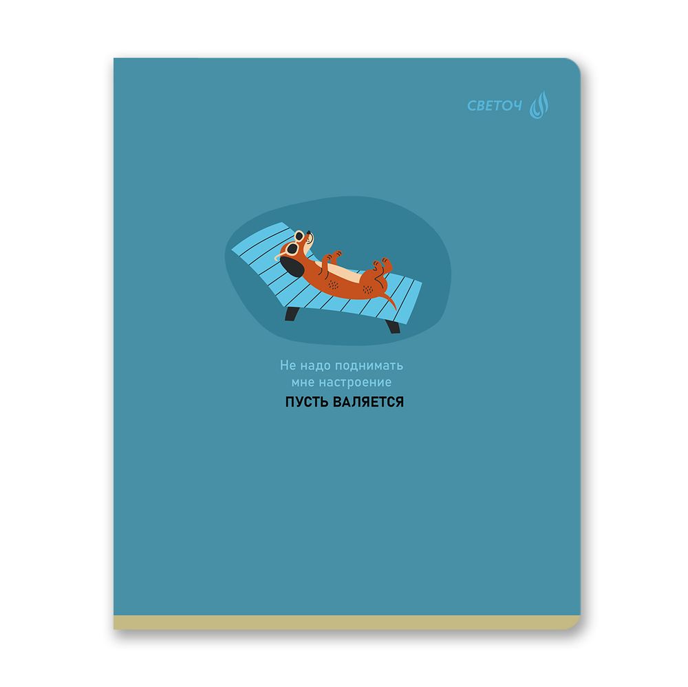 Тетрадь ученическая общая, твин лак, A5 96 л. на скобе 65 г/м², белизна 100% 5 шт линия, 01537 Вопросов нет, Светоч Т208