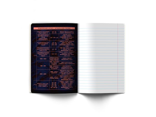 Тетрадь со справочным материалом Эволюция, глянцевая ламинация, A5+ 48 л. на скобе 65 г/м², белизна 100%, 10 шт, линия, 00882 Русский язык, Светоч 48Т4