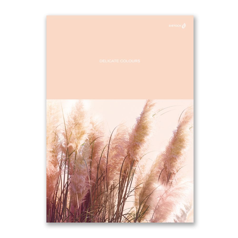 Тетрадь ученическая общая, A4 96 л. на скобе 65 г/м², белизна 100%, 6 шт, клетка, 000464 Бронзовый ковыль, Светоч 96ТСК4_0_2_1