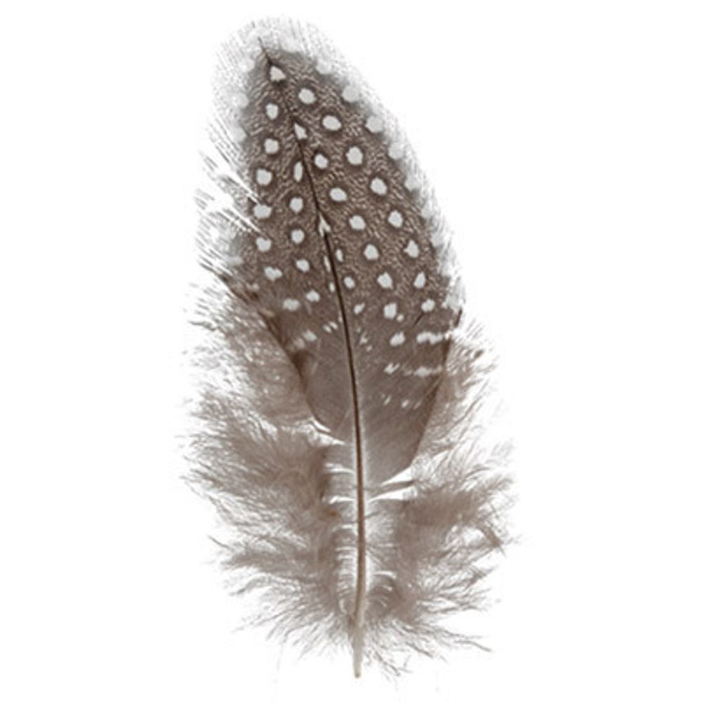 Перья декоративные 4-6 см, 5х3 г,±0.5 г, 03 белый/ черный, Mr.Painter