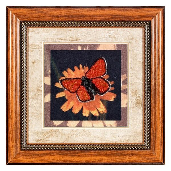 Набор для вышивания нитками Alisena ВН1039, Бабочка, 18х18 см