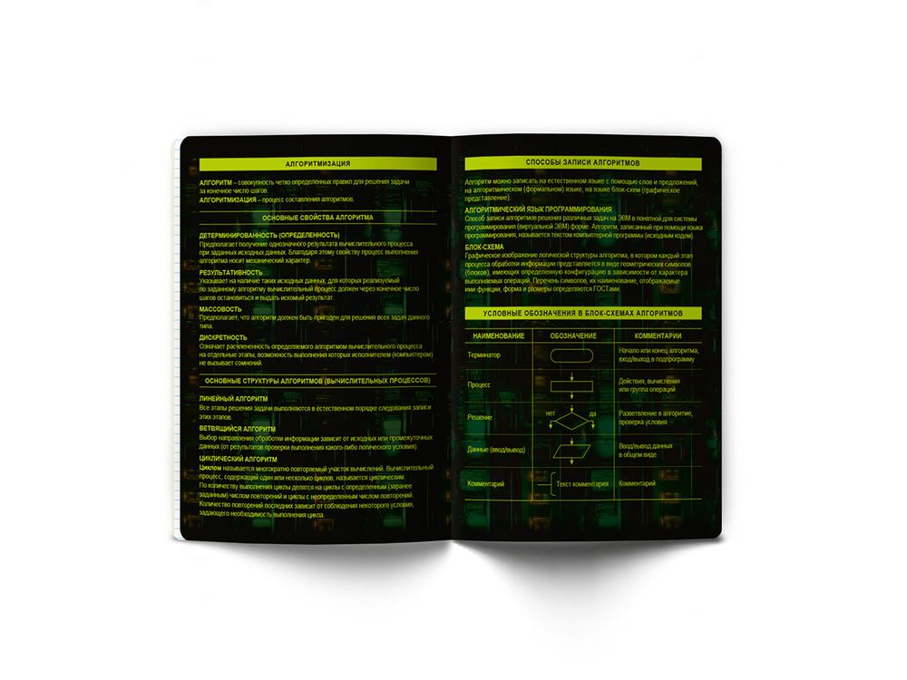 Тетрадь со справочным материалом Эволюция, глянцевая ламинация, A5+ 48 л. на скобе 65 г/м², белизна 100%, 10 шт, клетка, 00885 Информатика, Светоч 48Т5