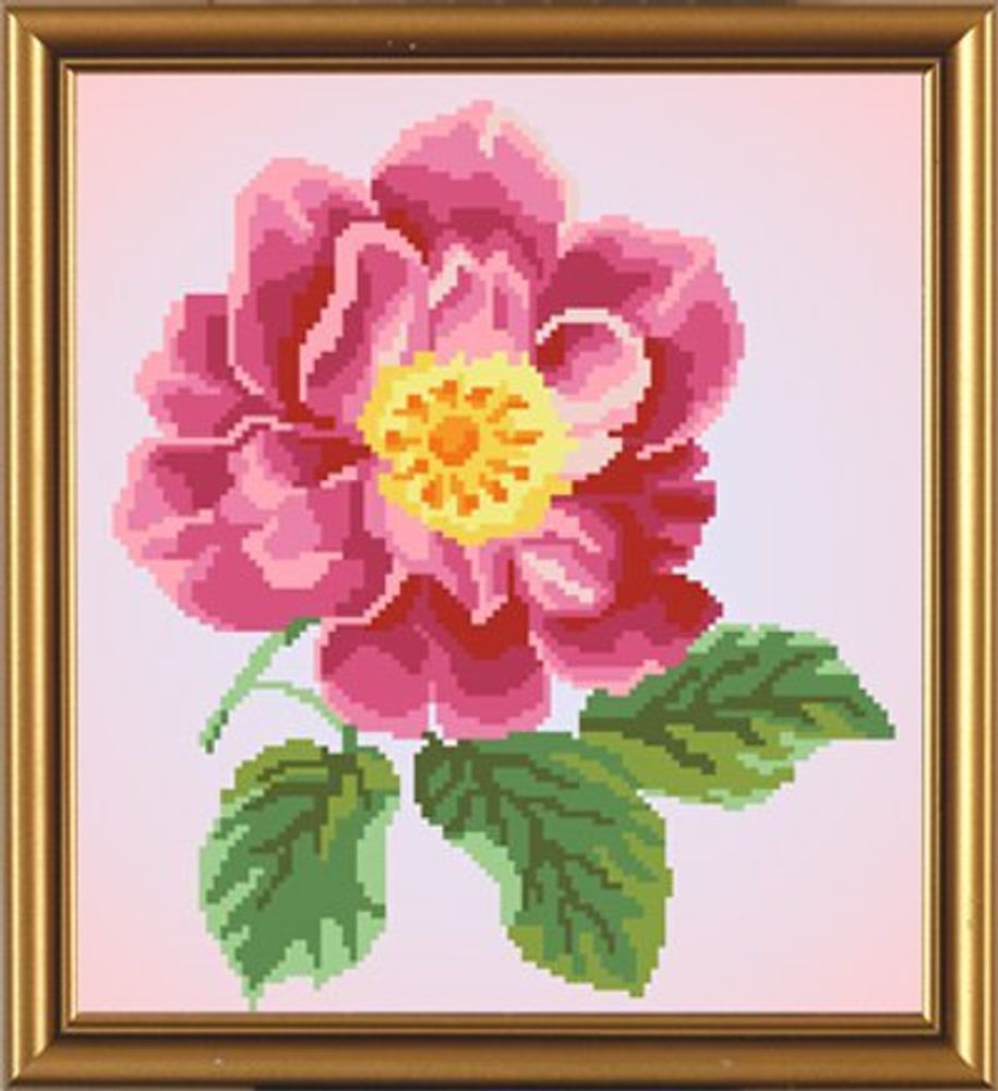 Рисунок для вышивания бисером Нова Слобода (ткань), Цветок шиповника 26х32 см
